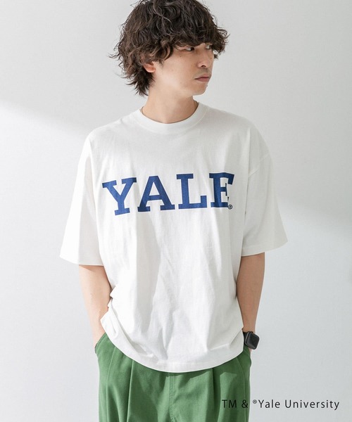 SENSE OF PLACE by URBAN RESEARCH（センスオブプレイスバイアーバンリサーチ）の「『ユニセックス』『別注』YALEカレッジロゴTシャツ A（Tシャツ/カットソー・メンズ・ライトブルー/ホワイト/ライトグレー/ブラック・MEDIUM/LARGE）」の22枚目の写真