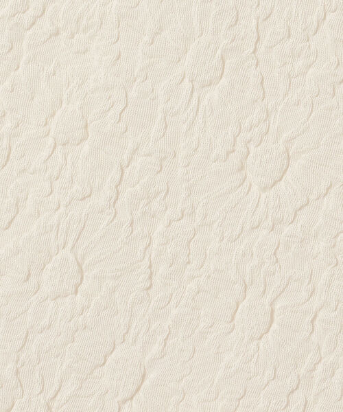 Ray BEAMS（レイビームス）の「Ray BEAMS / フラワー シュリンク ハーフスリーブ Tシャツ（Tシャツ/カットソー・レディース・ミント/オフホワイト/ブラック・ONE SIZE）」の11枚目の写真