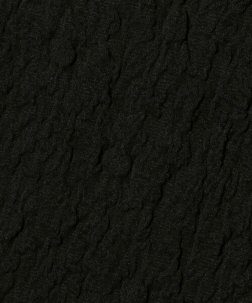 Ray BEAMS（レイビームス）の「Ray BEAMS / フラワー シュリンク ハーフスリーブ Tシャツ（Tシャツ/カットソー・レディース・ミント/オフホワイト/ブラック・ONE SIZE）」の14枚目の写真