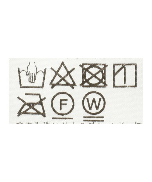 Ray BEAMS（レイビームス）の「Ray BEAMS / フラワー シュリンク ハーフスリーブ Tシャツ（Tシャツ/カットソー・レディース・ミント/オフホワイト/ブラック・ONE SIZE）」の19枚目の写真