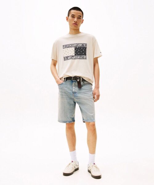 セール】リラックスペイズリーフラッグTシャツ（Tシャツ