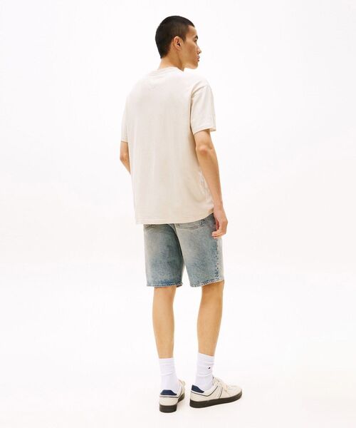 セール】リラックスペイズリーフラッグTシャツ（Tシャツ