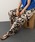 ROPE'�i���y�j�́u�yDEVEAUX(�f���H�[)�z�t�����[�v�����g�C�[�W�[�p���c/�Z�b�g�A�b�v�Ή��i���̑��p���c�j�v�b�x�[�W���n���̑�
