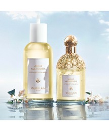 GUERLAIN ゲラン 香水 アクアアレゴリア ベルガモットカラブリア アクア アレゴリア ベルガモット カラブリア（香水）｜GUERLAIN