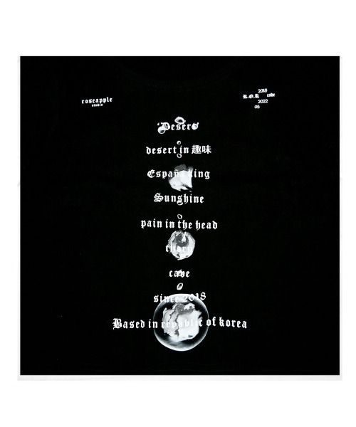 ROSEAPPLE STUDIO（ローズアップルスタジオ）の「【ROSEAPPLE STUDIO/ローズアップルスタジオ】222 Basic logo crop t/プリントT 半袖トップス 半袖Tシャツ 白Tシャツ 黒Tシャツ ゴシック クロップド 短丈トップス（Tシャツ/カットソー・レディース・ホワイト/ブラック・ONE SIZE）」の12枚目の写真