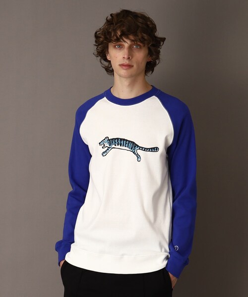 DRESSTERIOR ドレステリア　Tシャツ　コットン　ワンピース DRESSTERIOR ドレステリア ストライプ柄 半袖ワンピース