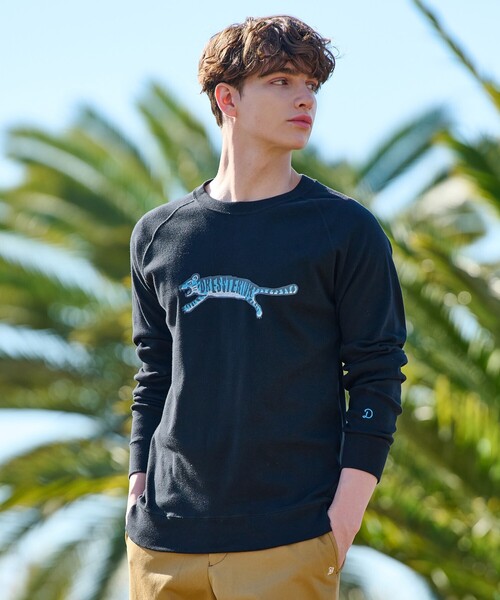 DRESSTERIOR(ドレステリア)の「タイガープリント フライスロングTシャツ(Tシャツ/カットソー・メンズ・ブラック系6/ホワイト系7/ホワイト/グレー系4・91/94/90/92)」の3枚目の写真