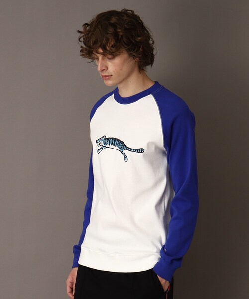 DRESSTERIOR(ドレステリア)の「タイガープリント フライスロングTシャツ(Tシャツ/カットソー・メンズ・ブラック系6/ホワイト系7/ホワイト/グレー系4・91/94/90/92)」の7枚目の写真