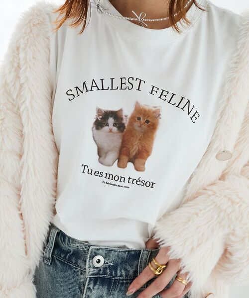 MAJESTIC LEGON(マジェスティックレゴン)の「アソートロゴロンT(Tシャツ/カットソー・レディース・グレー/B/A/ホワイト系その他/C/D・MEDIUM)」の6枚目の写真