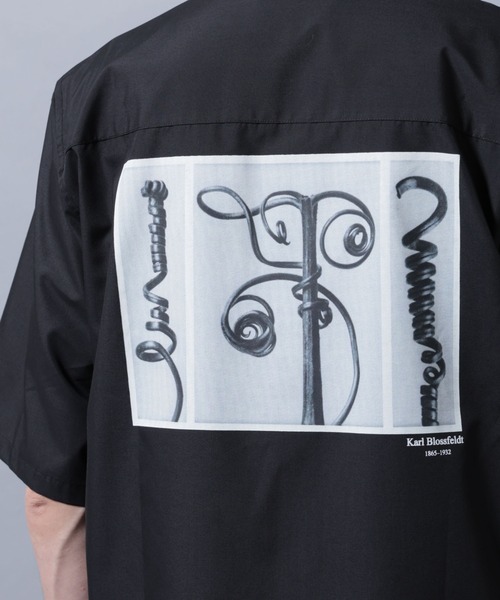 NANO universe(ナノユニバース)の「「着るアート」karl blossfeldt 半袖シャツ1(シャツ/ブラウス・メンズ・ブラック・M/L)」の12枚目の写真