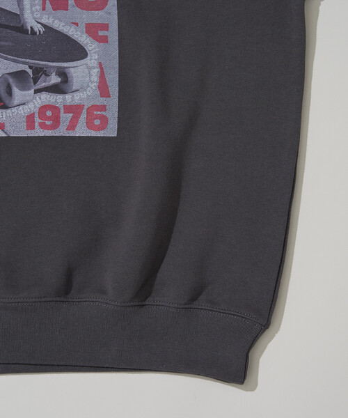 PUBLUX（パブリュクス）の「VISION STREET WEAR/ヴィジョンストリートウェアー 別注DOG PHOTO SWEAT(限定展開)（スウェット・メンズ・ライトグレー/オフホワイト/チャコールグレー・MEDIUM/X-LARGE/LARGE）」の6枚目の写真