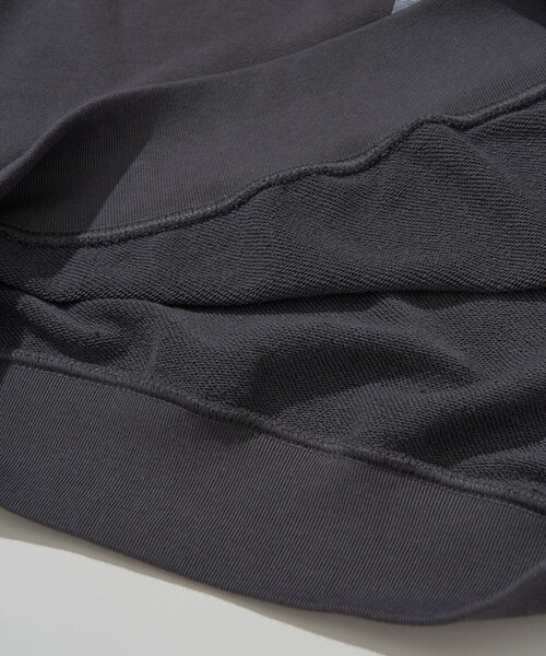 PUBLUX（パブリュクス）の「VISION STREET WEAR/ヴィジョンストリートウェアー 別注DOG PHOTO SWEAT(限定展開)（スウェット・メンズ・ライトグレー/オフホワイト/チャコールグレー・MEDIUM/X-LARGE/LARGE）」の7枚目の写真