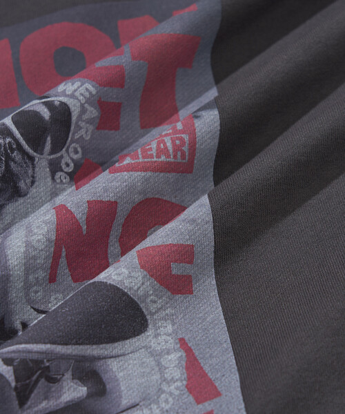 PUBLUX（パブリュクス）の「VISION STREET WEAR/ヴィジョンストリートウェアー 別注DOG PHOTO SWEAT(限定展開)（スウェット・メンズ・ライトグレー/オフホワイト/チャコールグレー・MEDIUM/X-LARGE/LARGE）」の8枚目の写真