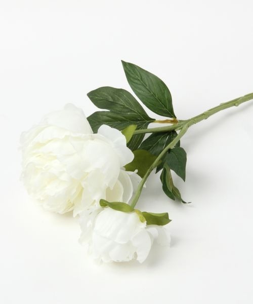 mysty woman（ミスティウーマン）の「プランタンピオニ－　194012（インテリア雑貨・レディース・ホワイト系その他/ホワイト系その他2/ホワイト系その他3/ホワイト系その他4・FREE）」の2枚目の写真