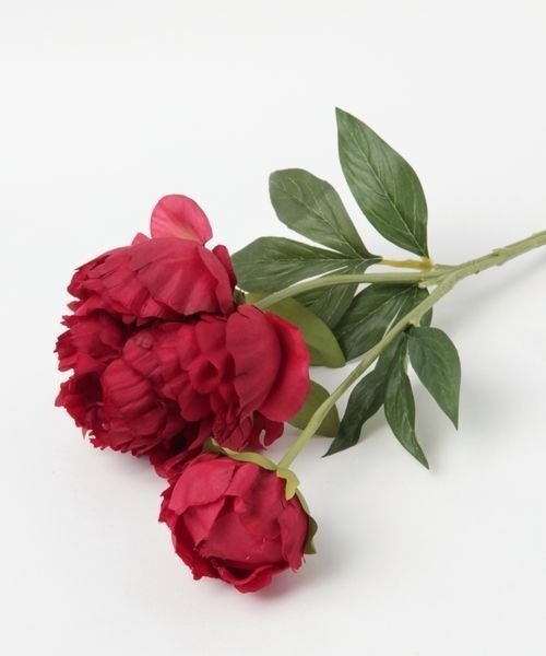 mysty woman（ミスティウーマン）の「プランタンピオニ－　194012（インテリア雑貨・レディース・ホワイト系その他/ホワイト系その他2/ホワイト系その他3/ホワイト系その他4・FREE）」の4枚目の写真