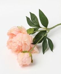 mysty woman | プランタンピオニ- 194012(インテリア雑貨)