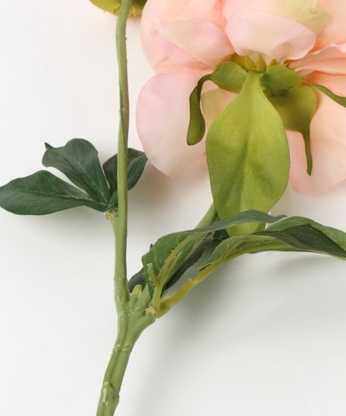 mysty woman（ミスティウーマン）の「プランタンピオニ－　194012（インテリア雑貨・レディース・ホワイト系その他/ホワイト系その他2/ホワイト系その他3/ホワイト系その他4・FREE）」の6枚目の写真