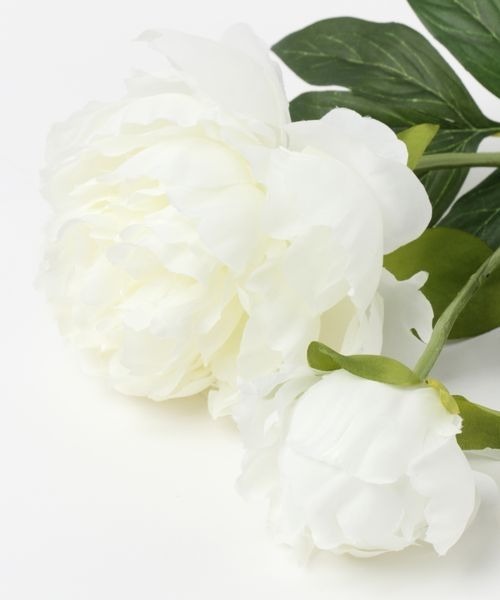 mysty woman（ミスティウーマン）の「プランタンピオニ－　194012（インテリア雑貨・レディース・ホワイト系その他/ホワイト系その他2/ホワイト系その他3/ホワイト系その他4・FREE）」の12枚目の写真