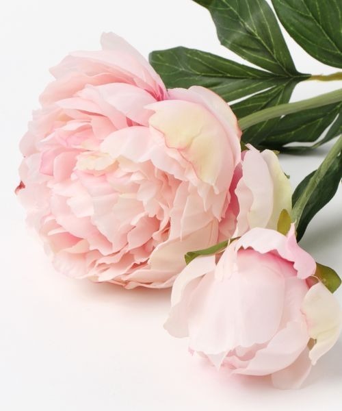 mysty woman（ミスティウーマン）の「プランタンピオニ－　194012（インテリア雑貨・レディース・ホワイト系その他/ホワイト系その他2/ホワイト系その他3/ホワイト系その他4・FREE）」の8枚目の写真