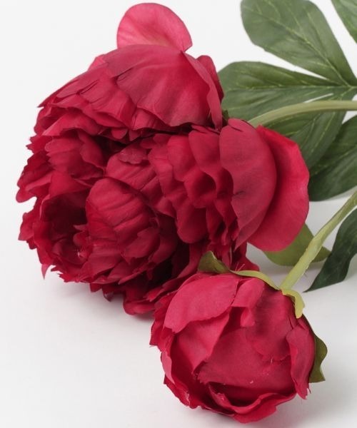 mysty woman（ミスティウーマン）の「プランタンピオニ－　194012（インテリア雑貨・レディース・ホワイト系その他/ホワイト系その他2/ホワイト系その他3/ホワイト系その他4・FREE）」の7枚目の写真