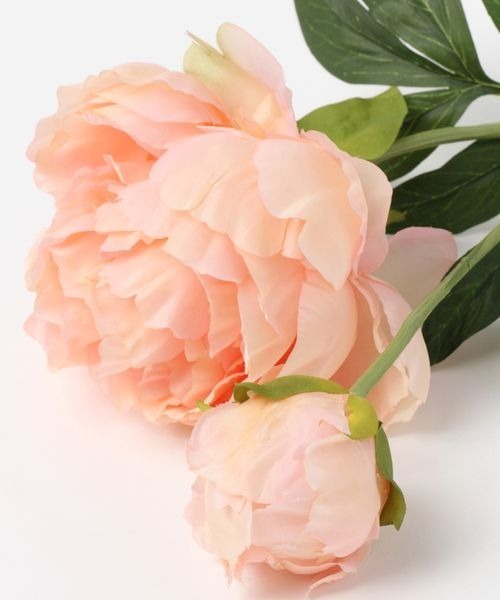 mysty woman（ミスティウーマン）の「プランタンピオニ－　194012（インテリア雑貨・レディース・ホワイト系その他/ホワイト系その他2/ホワイト系その他3/ホワイト系その他4・FREE）」の9枚目の写真