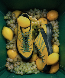 SALOMON(�T������)��SALOMON / �T������ exclusive X-ALP WOVEN(�X�j�[�J�[)