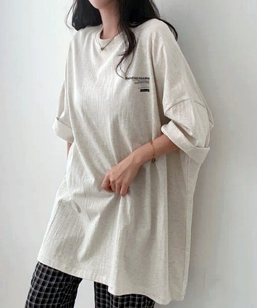 HAILY(ヘイリー)の「ロゴプリントビッグサイジング半袖Tシャツ(Tシャツ/カットソー・レディース・ライトグレー/ブルー/ホワイト・FREE)」の1枚目の写真