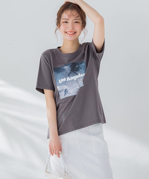 【畔勝遥さんコラボ商品】PalmtreeフォトプリントTシャツ《洗濯機で洗える》