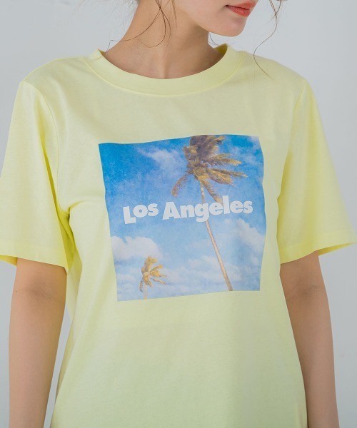 【畔勝遥さんコラボ商品】PalmtreeフォトプリントTシャツ《洗濯機で洗える》