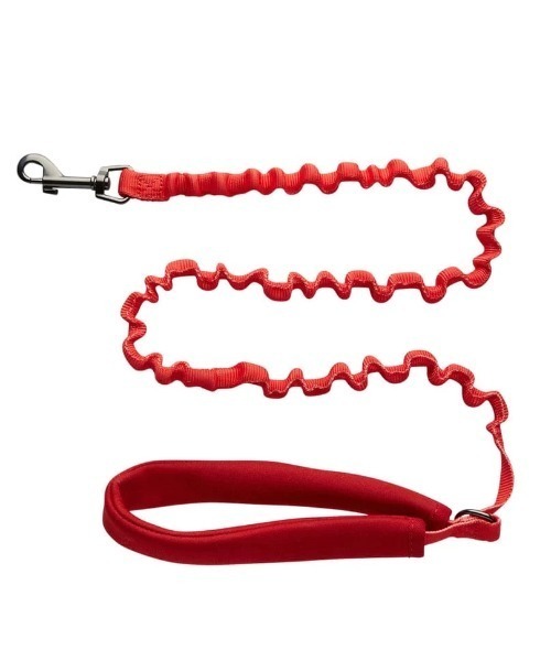 A.en(エイエン )の「Day Tripper H-Style Cat Harness & Leash Set(リード/ハーネス/首輪・メンズ・マルチ/チェック・FREE)」の4枚目の写真