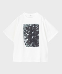 STUDIOUS | Glass GrapeグラフィックTEE(Tシャツ/カットソー)