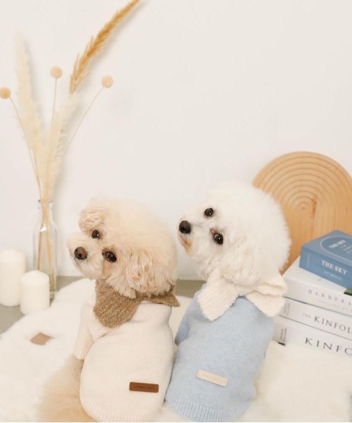 moncheri（モンシェリ）の「リボンマフラー付きニットトップス（ペットウェア・レディース・ブルー/アイボリー・S/M/L/XL）」の7枚目の写真