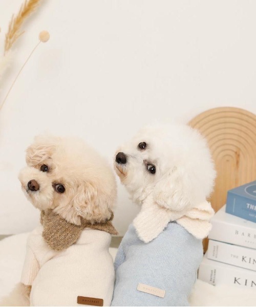 moncheri（モンシェリ）の「リボンマフラー付きニットトップス（ペットウェア・レディース・ブルー/アイボリー・S/M/L/XL）」の8枚目の写真