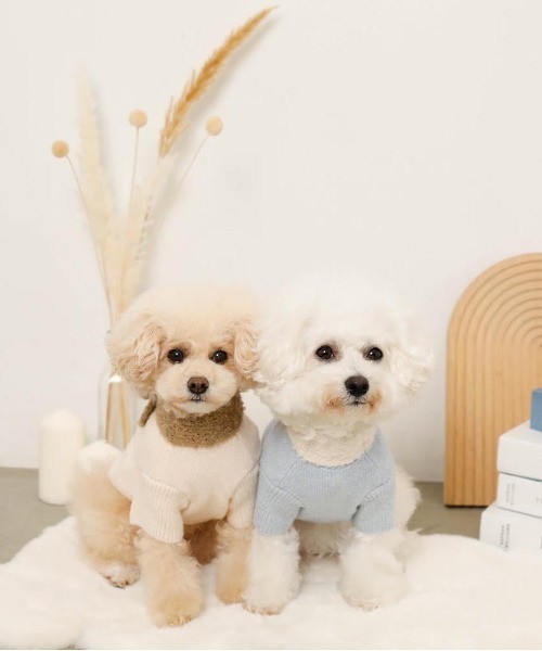 moncheri（モンシェリ）の「リボンマフラー付きニットトップス（ペットウェア・レディース・ブルー/アイボリー・S/M/L/XL）」の3枚目の写真