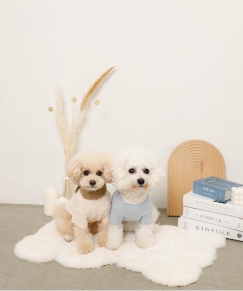 moncheri（モンシェリ）の「リボンマフラー付きニットトップス（ペットウェア・レディース・ブルー/アイボリー・S/M/L/XL）」の4枚目の写真