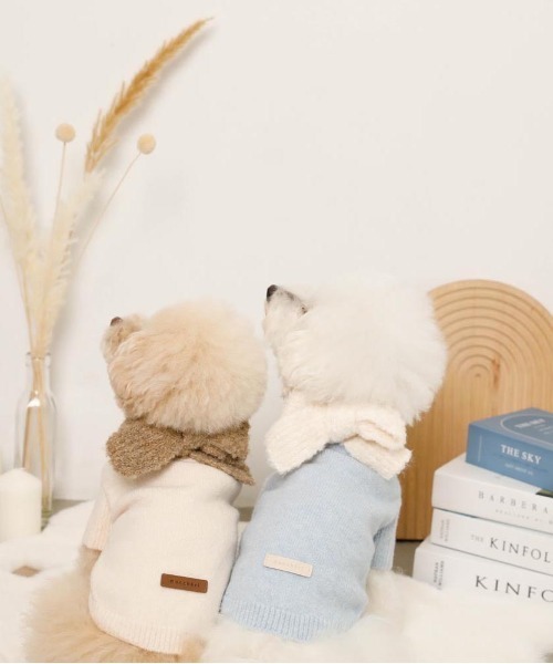 moncheri（モンシェリ）の「リボンマフラー付きニットトップス（ペットウェア・レディース・ブルー/アイボリー・S/M/L/XL）」の6枚目の写真