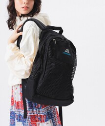 GREGORY | 【別注】GREGORY / メッシュ DITCH DAY(バックパック/リュック)