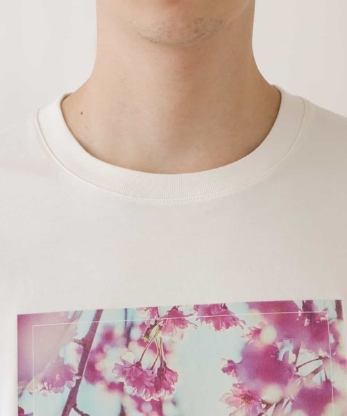 a.v.v(アーヴェヴェ)の「フォトグラファーコラボロングシルエットカットソー(Tシャツ/カットソー・メンズ・ホワイト/ライトブルー・48/46/44/50)」の22枚目の写真