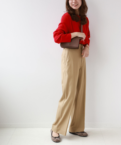 JOURNAL STANDARD relume（ジャーナルスタンダード　レリューム）の「ウォッシャブルストレッチストレートパンツ（その他パンツ・レディース・ベージュ/ライトグレー/ブラック・36/38）」の18枚目の写真