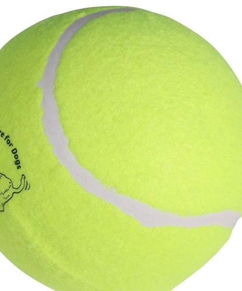 DULTON（ダルトン）の「TENNIS BALL SET OF 2 L/テニスボール セット 2pcs（ペット用おもちゃ・メンズ・イエロー・L）」の4枚目の写真