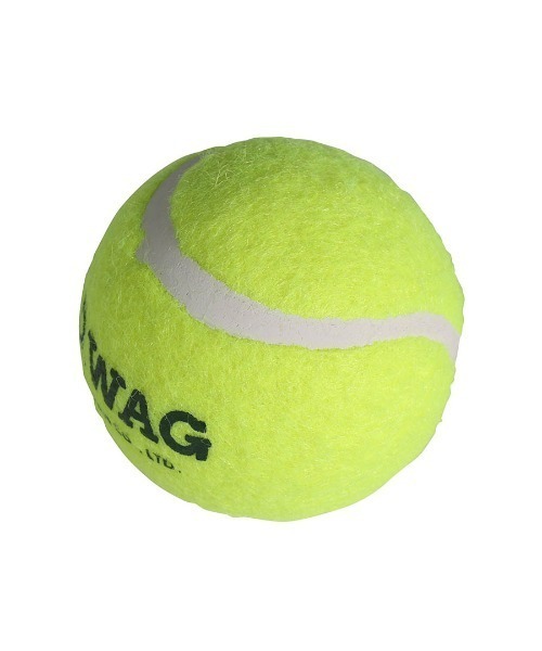 DULTON（ダルトン）の「TENNIS BALL SET OF 2 L/テニスボール セット 2pcs（ペット用おもちゃ・メンズ・イエロー・L）」の6枚目の写真