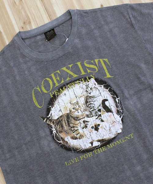 TopIsm（トップイズム）の「オーバーサイズ ビンテージ調 昇華プリント半袖Tシャツ（Tシャツ/カットソー・メンズ・D/E/C/B/A/F・L/LL/M）」の7枚目の写真