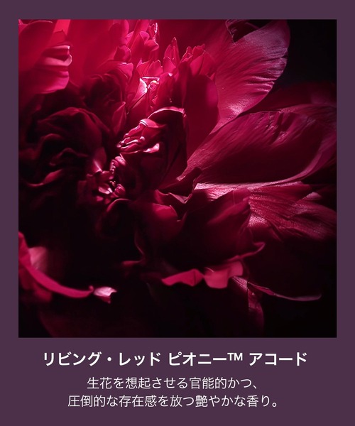 ウード・ヴォヤージュ オード パルファム スプレィ 30ml（香水）｜TOM