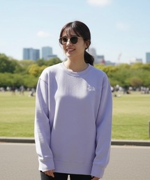 【THE NORTH FACE】ノースフェイス 国内未発売 M'S CORE SWEATSHIRTS レギュラーフィット トレーナー スエット 長袖 / NM5MR00