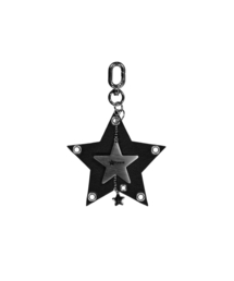 SETUP-EXE（セットアップイーエックスイー）の「DOUBLE STAR KEYRING / BLACK（キーケース/キーアクセサリー）」