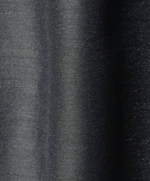 A DAY IN THE LIFE UNITED ARROWS(アデイインザライフユナイテッドアローズ)の「オーガンジー レイヤードカットソー <A DAY IN THE LIFE>(Tシャツ/カットソー・レディース・ライム/ネイビー/ホワイト/ダークグレー・FREE)」の22枚目の写真