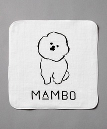 MAMBO(}{)̃K[[nJ` / TAKE ME OUT(nJ`/nh^I)