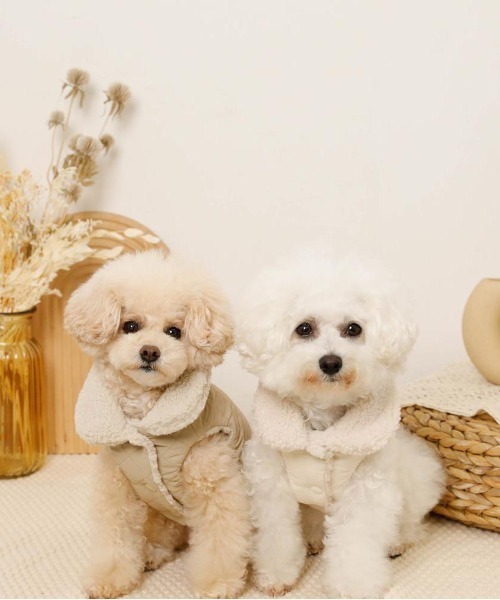 リバーシブルキルティングボアベスト（ペットウェア）｜moncheri