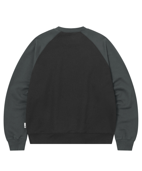 F.ILLUMINATE(フィルミネイト)の「ストレンジャースウェットシャツ-チャコール(スウェット・レディース・その他・LARGE/SMALL/MEDIUM)」の2枚目の写真