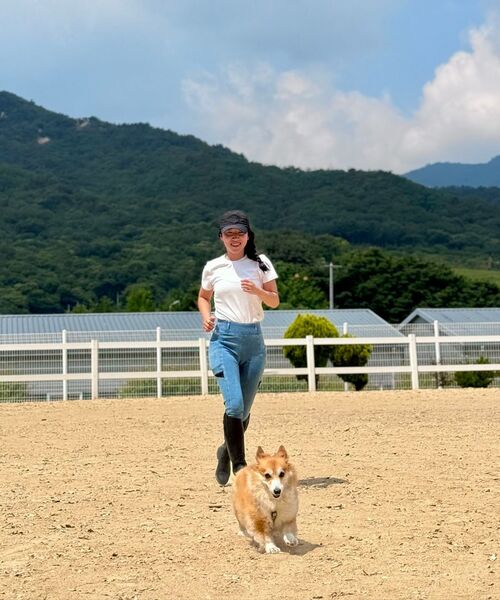 MUSINSA STANDARD WOMAN（ムシンサスタンダードウーマン）の「ウィメンズリブスリムフィットTシャツ[ホワイト]（Tシャツ/カットソー・レディース・その他・SMALL/MEDIUM/LARGE/X-SMALL）」の8枚目の写真